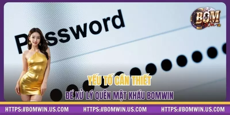 Yếu tố cần thiết để xử lý quên mật khẩu BOWIN